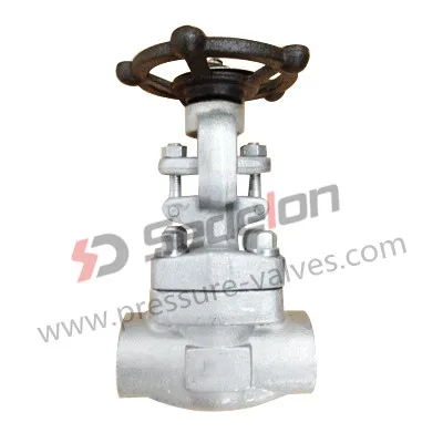 Butt Weld /Socket weld A105N Gate Valves