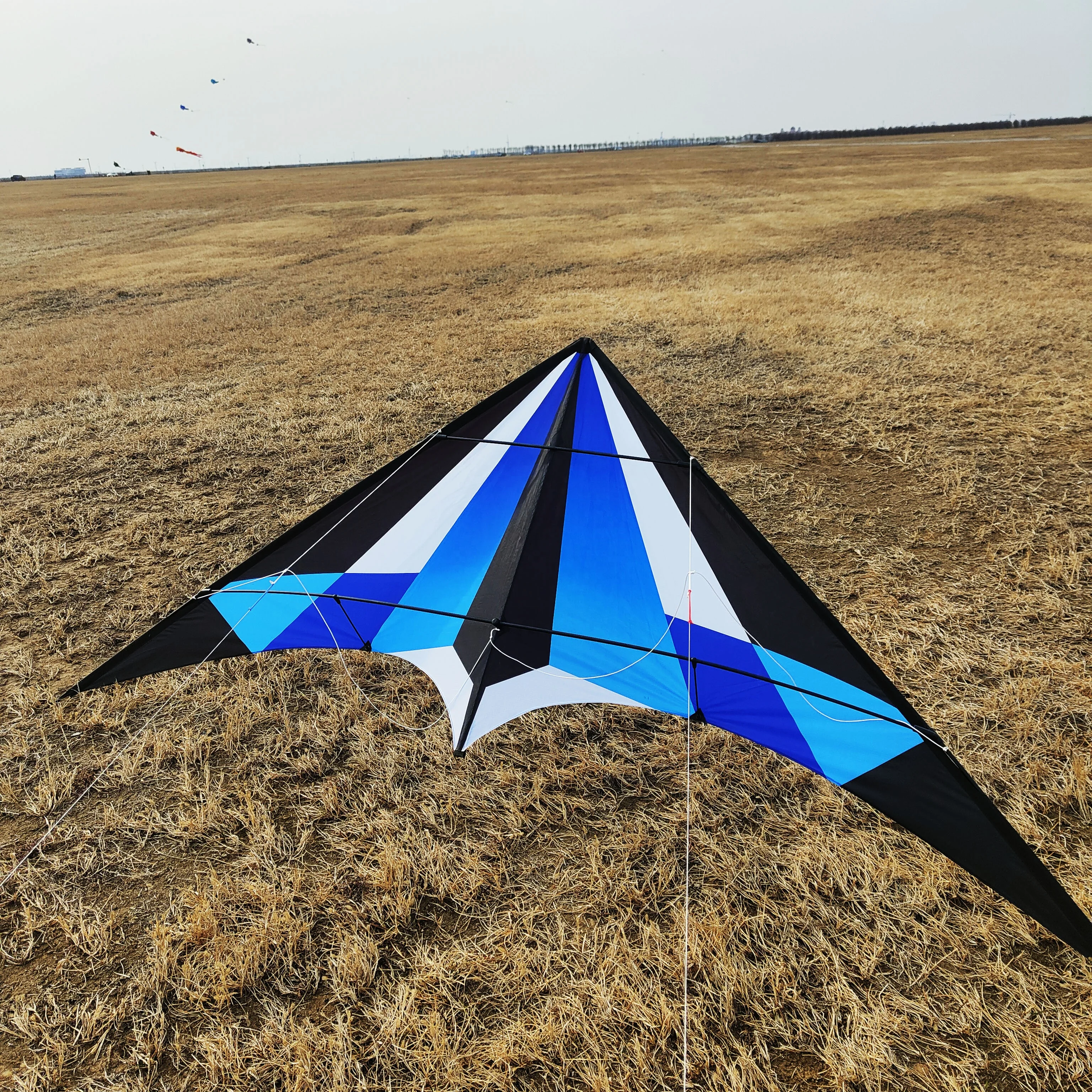 Factory Dual Line Power Kite Sale Sport Flying 2.4m Lanyork Magic Modern Deign Dual Line Stunt Kites