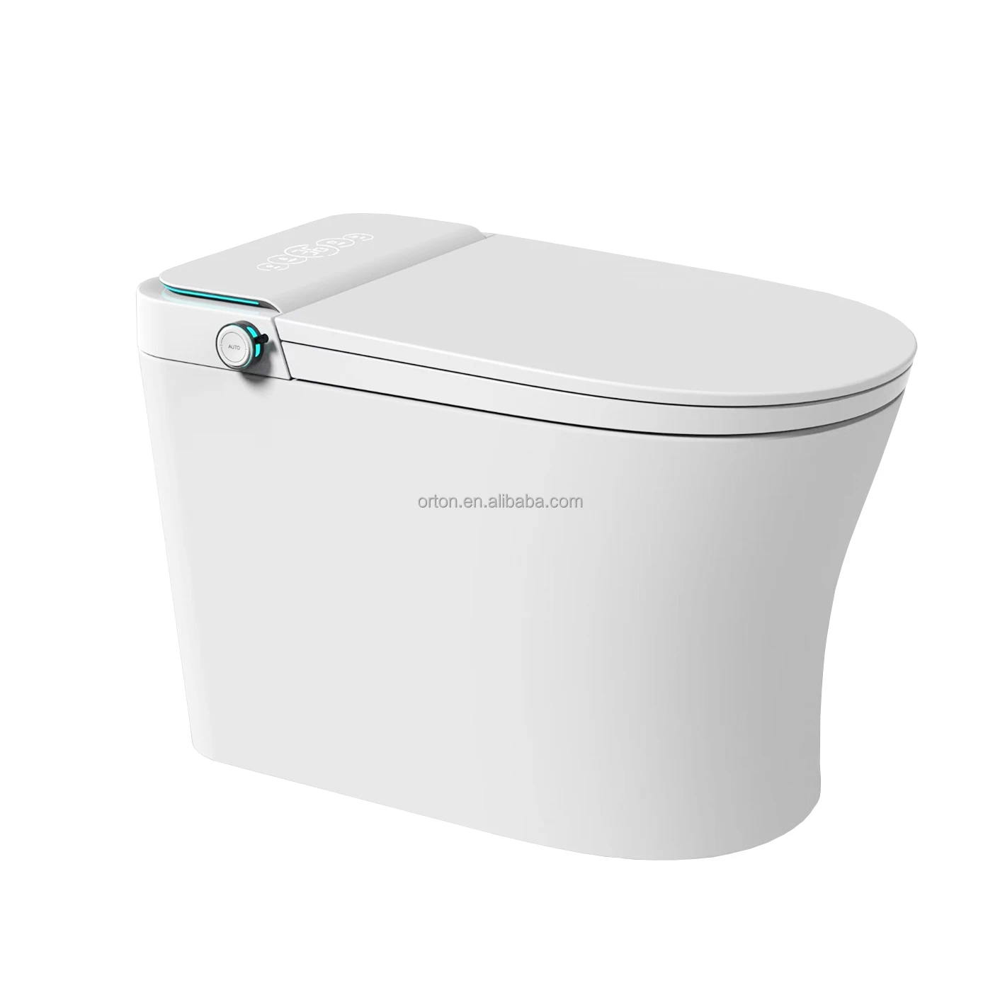 ORTONBATHS bidet function, Close Lid Blackout Flush Foot Kick Auto Flush  Tankless One Piece Toilet for Bathroom (Tankless)