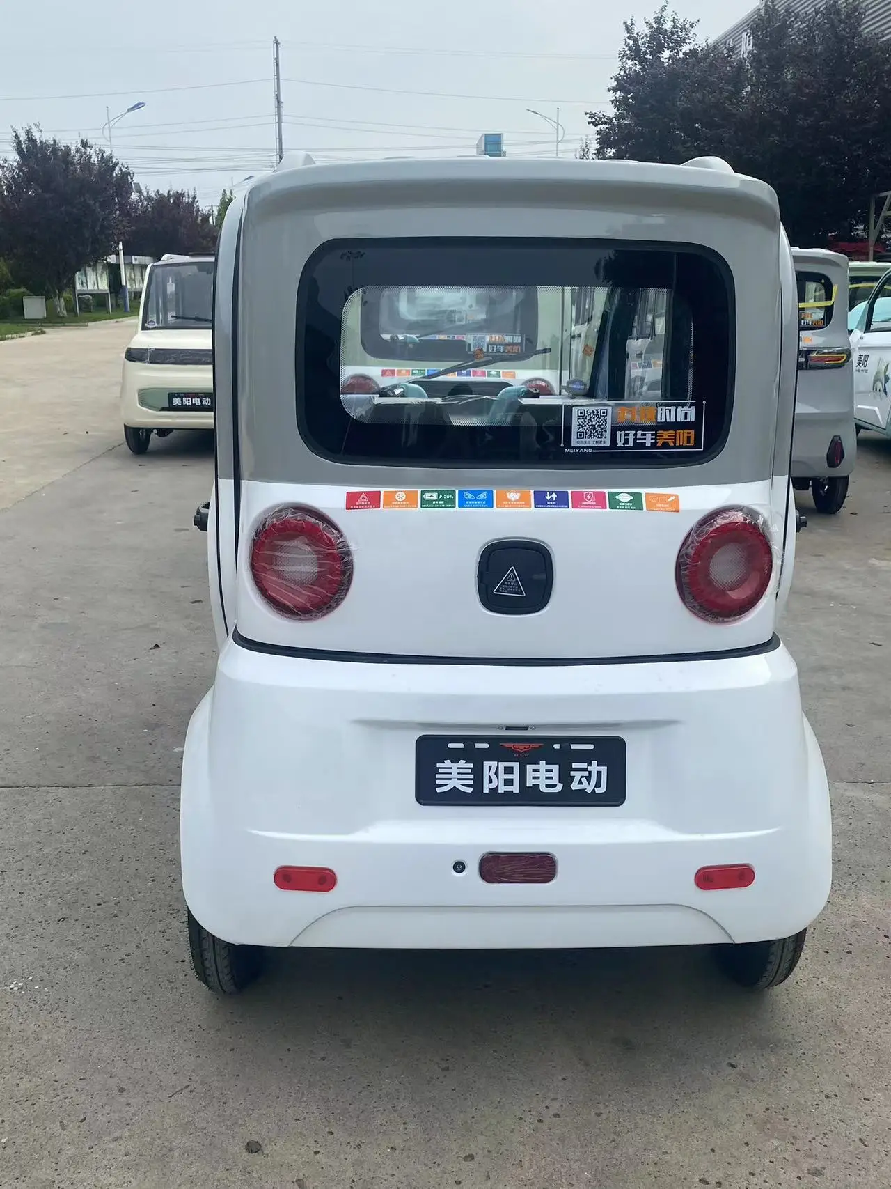 MEIYANG Customized 1500W Adult Electric Tricycle 3-Wheel Closed Cabin Scooter with Customized Color