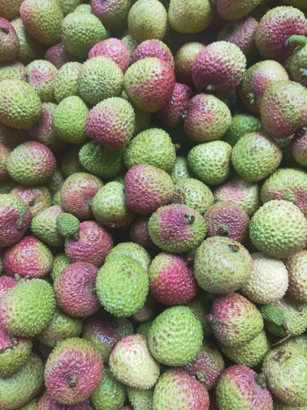 
Fresh Lychee for saling 