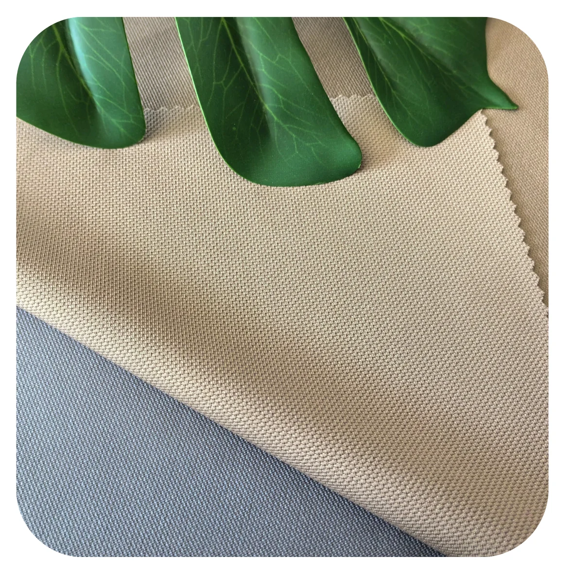 MY Knitted Polyester 97%p 3%sp Dobby Fabric Anti-Pilled Fabric Crisp Hand Feeling Corn Grain Fabric For Pants &Jackets