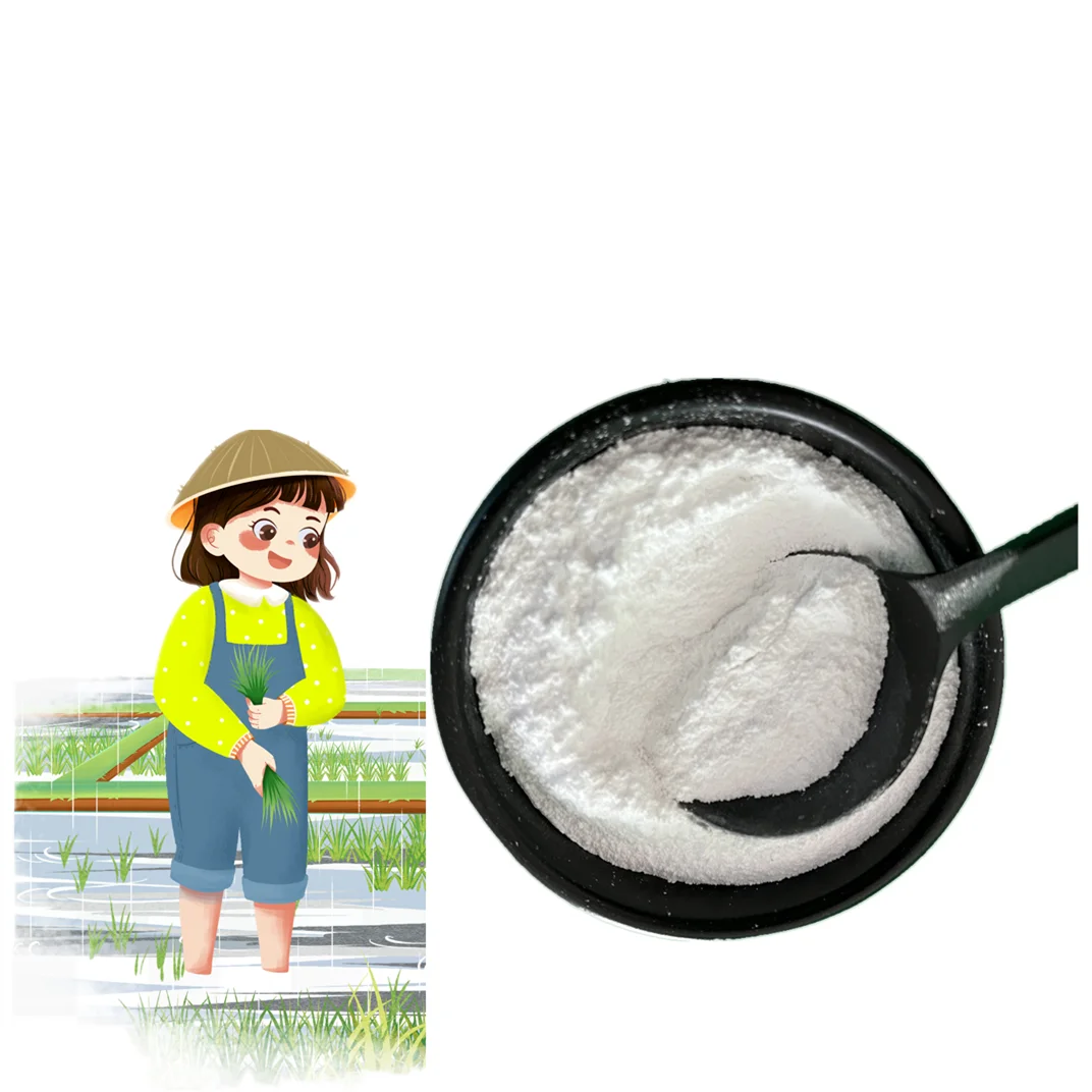Price Chemical Formula MgSO.7H2O Epsom Salt Heptahydrate Magnesium Sulphate