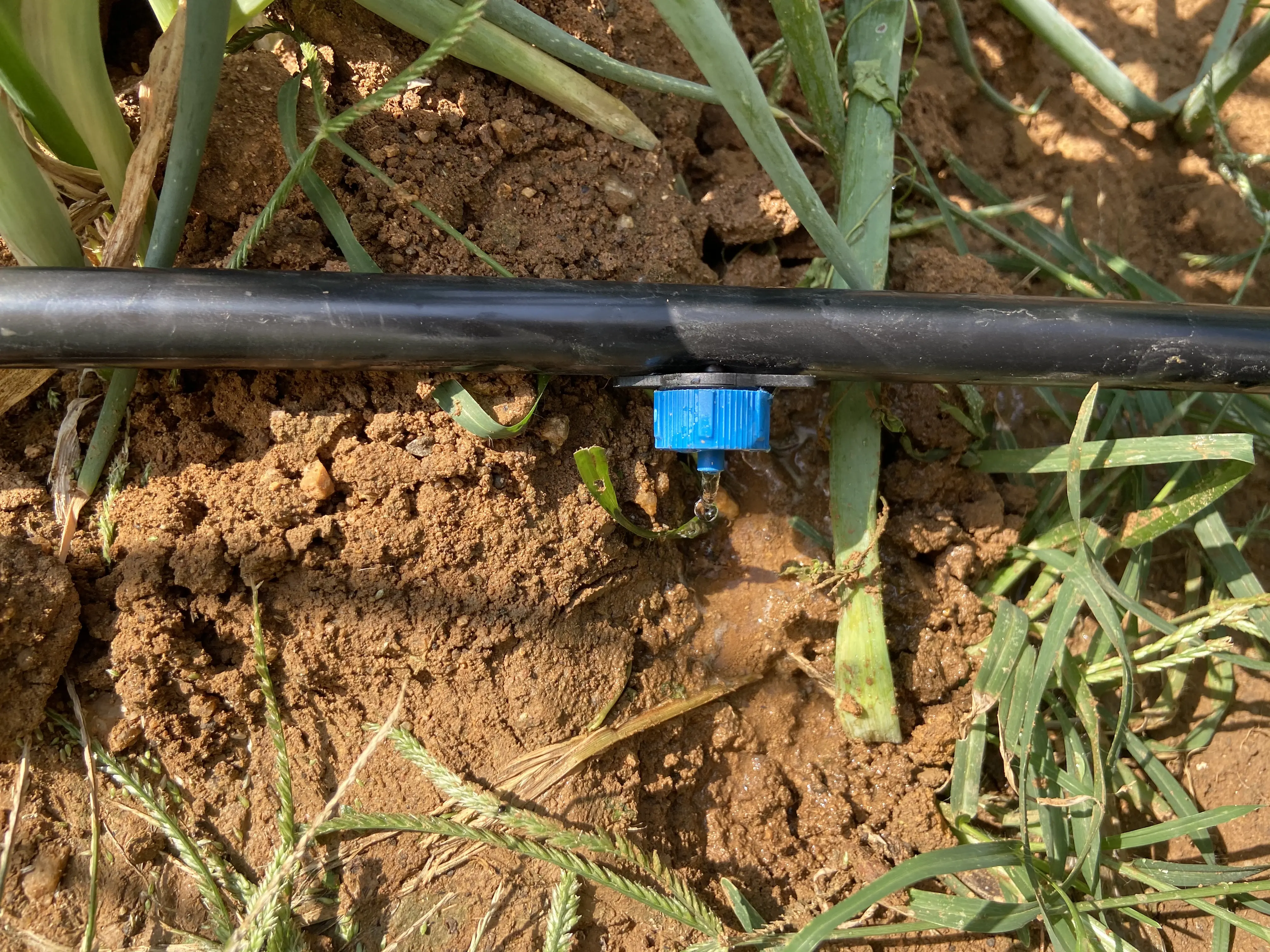 4L/8L Family Garden drip irrigation water dripper Pressure compensation dripper