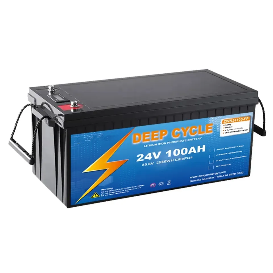 24V Lithium Ion Battery Pack 50ah 100Ah 200Ah Solar Battery Lifepo4 24v 100ah Battery For Golf Carts Solar Power