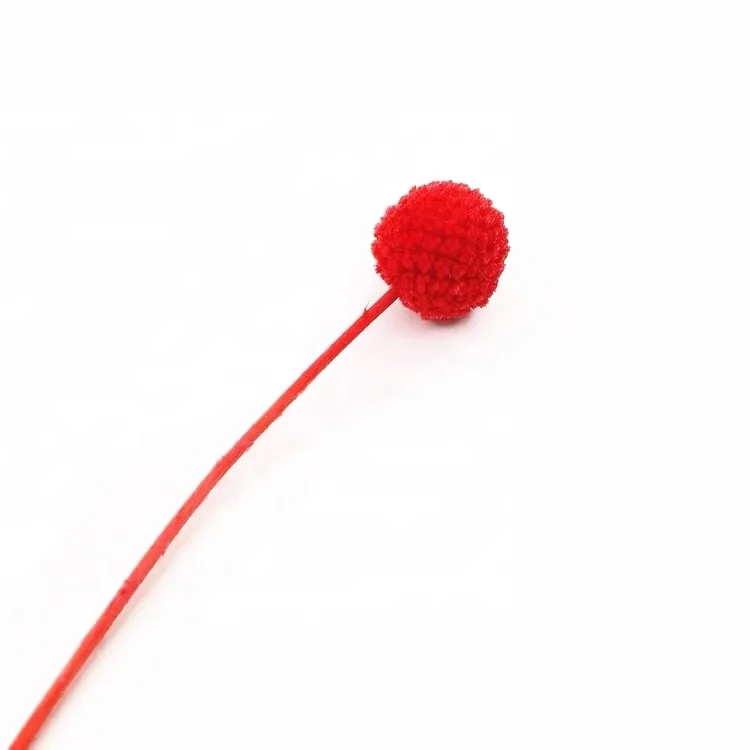 High quality preserved billy balls preserved craspedia globosa preserved lichen moss for fakeflowers decoration flowers