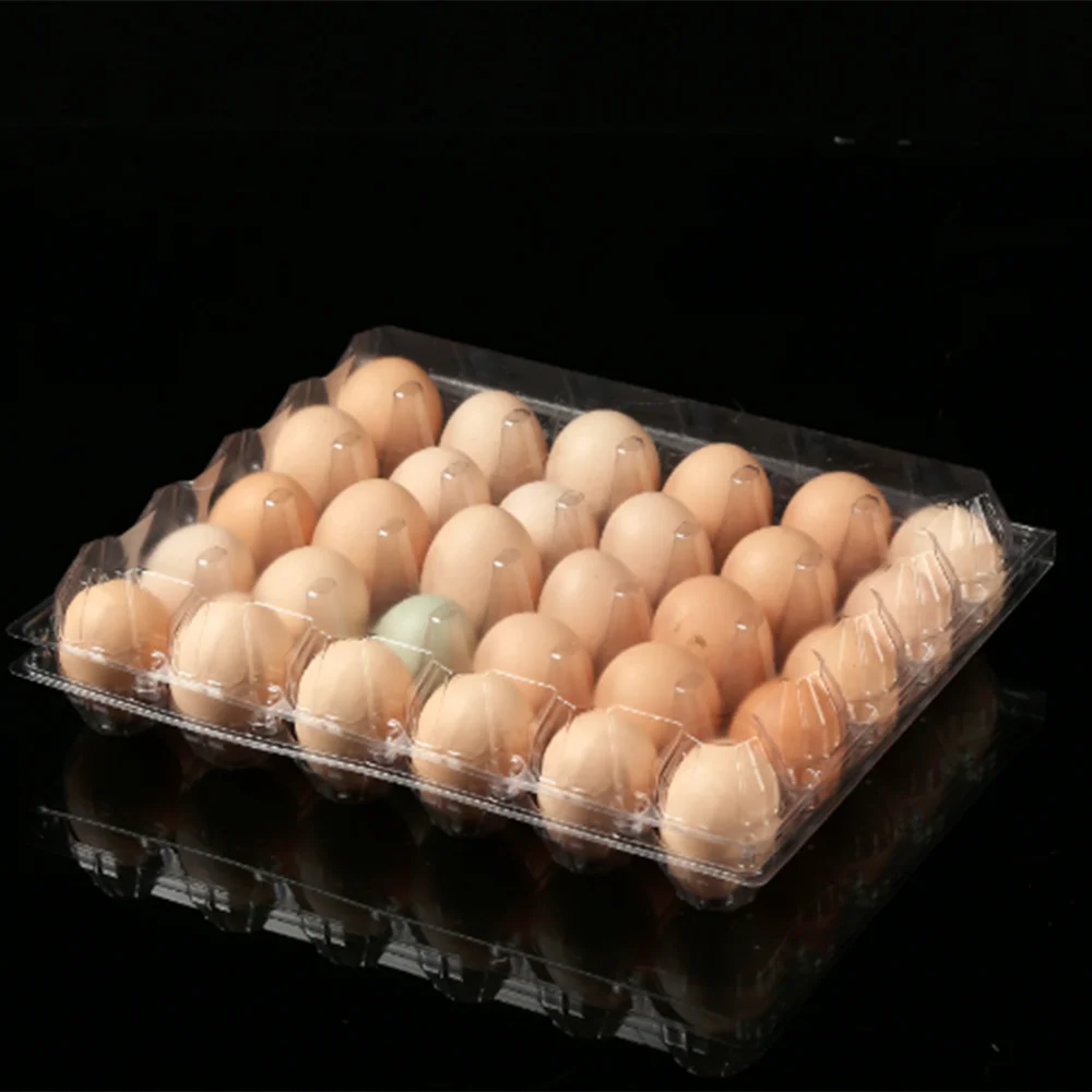 Wholesale Packing Storage Box Pulp Moulding Processing Transparent Disposable Plastic Egg Tray