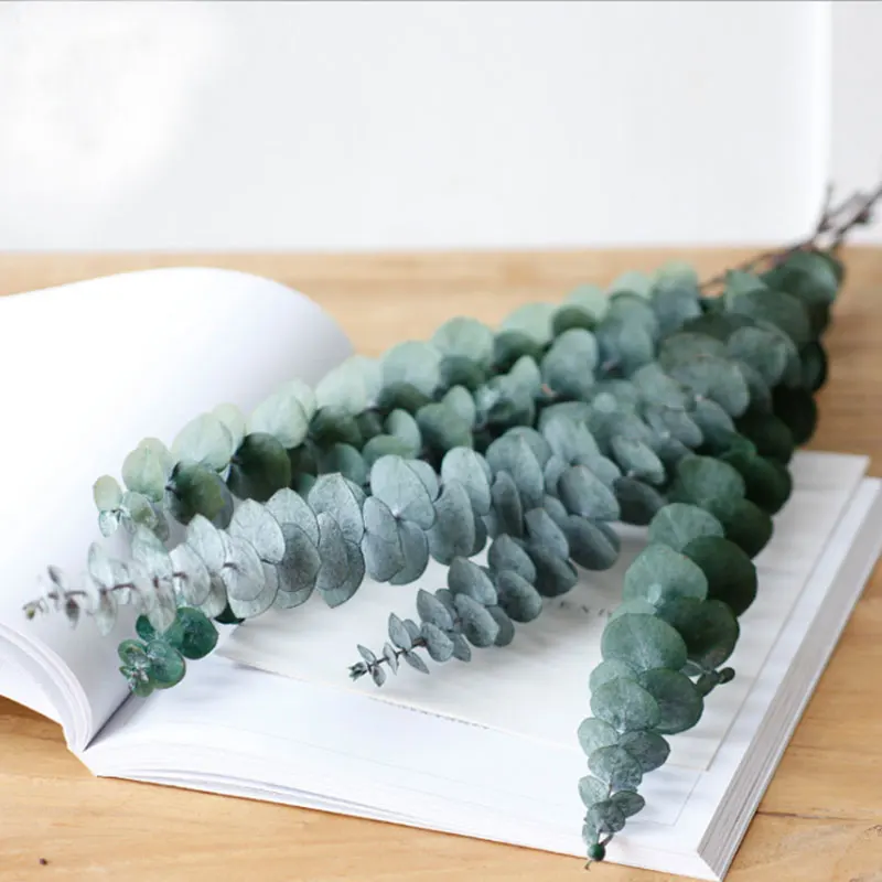 Instagram hot product fresh leaf preserved Eucalyptus leaves for home decor accessories