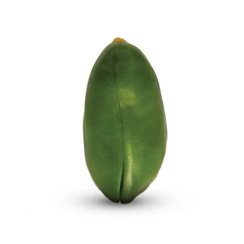 Premium natural wholesale high quality green pistachio kernels peel