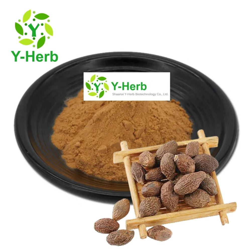 Semen Sterculiae Lychnopherae P.E. Organic Bulk 10:1 Pang Da Hai/Scaphium Scaphigerum/Boat fruited Sterculia Extract Powder