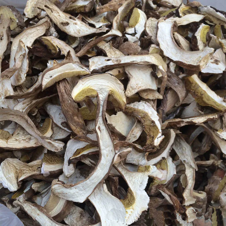 Wholesale Boletus porcini king belote mushroom