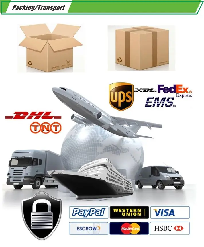 Packing-Transport.jpg