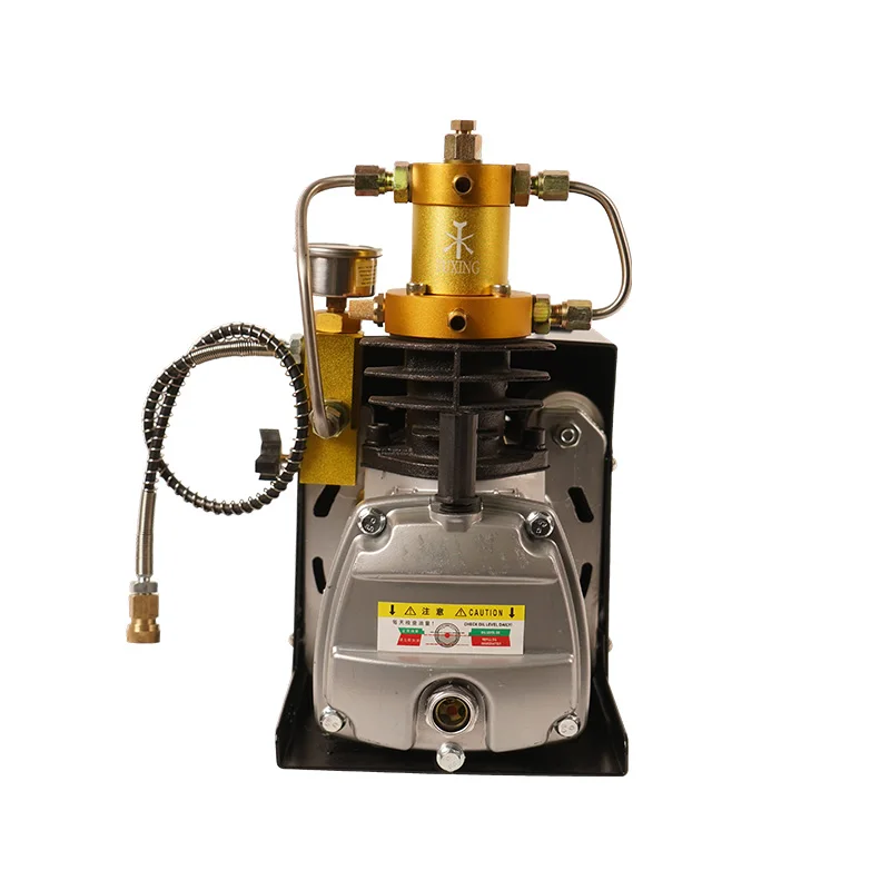  TUXING 4500psi 300bar 220V PCP Электрический насос подводный компрессор для пневматического