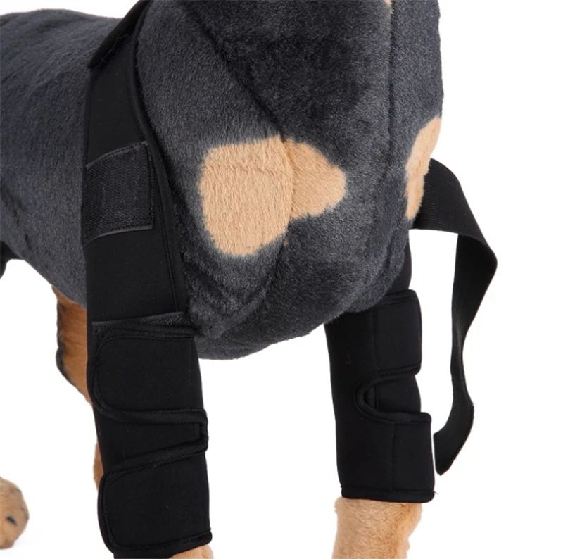 Hot Selling comfortable adjustable Protects Wounds Pet Dog Knee Brace