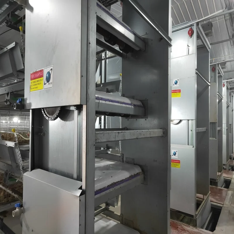 Poultry Farm Equipment Automatic 3 or 4 Tiers Broiler Breeder Chicken Battery Cage System For Sale.jpg