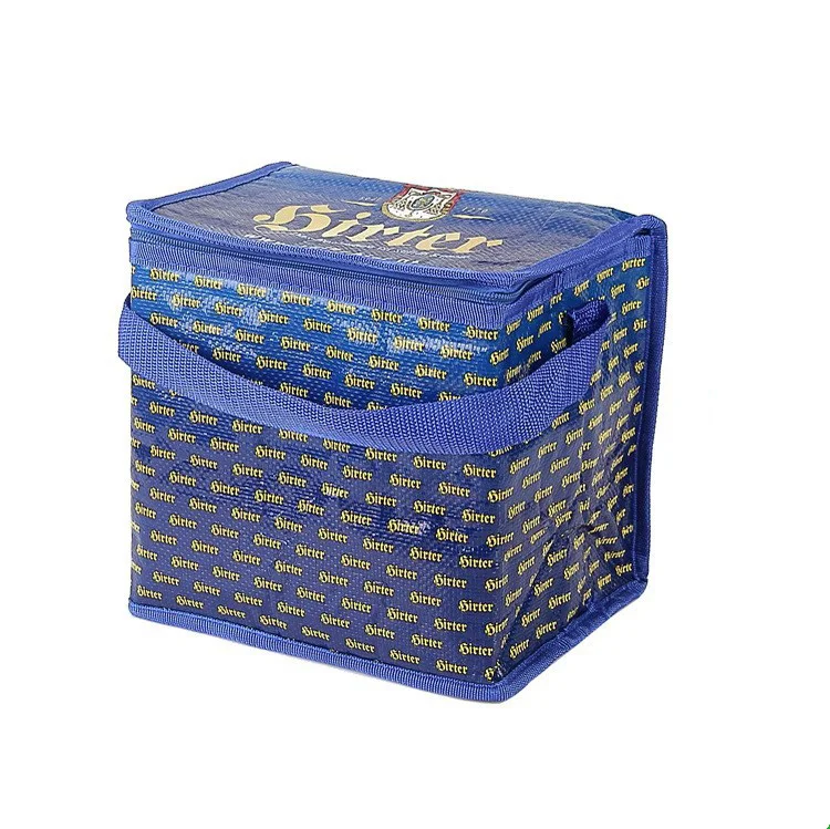 2024 New Design Thermal Cooler Bags For Ice Cream