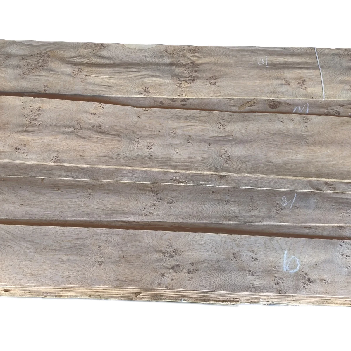 Fashion style big quantity white oak burl veneer real wood burl veneer for sale