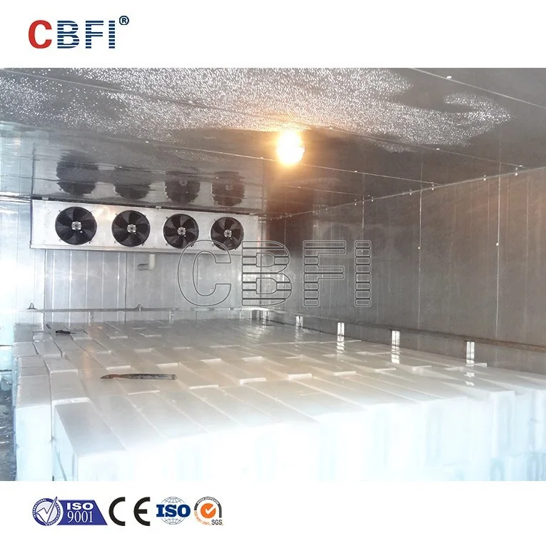 High Quality Ammonia Cold Room Storage For Chicken Meat Fish Fruit New Type Ammonia Cold Storage For Fruits And Vegetables