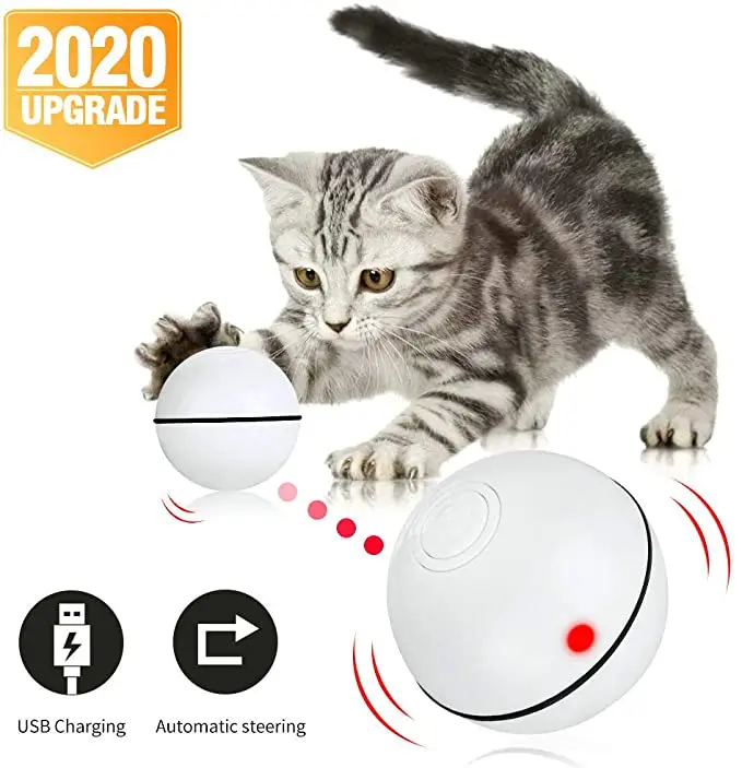 
Innovative Products For Sell New Product Ideas 2020 Amazon Suction Cup Dog Toy Large Talking Tom Cat Electrical 