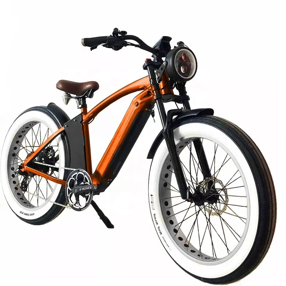 Ebike dual motor NA fashion electric bike 1000w  fat tire ebike OEM services 20ah lithium battery belt drive ebike