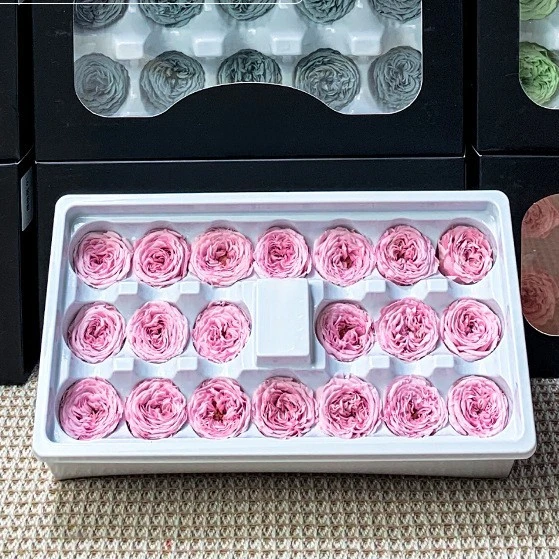 Preserved Flower Austin Chocolate Rose Grade A 2-3cm Flower Diy Handmade Flowers Material Products