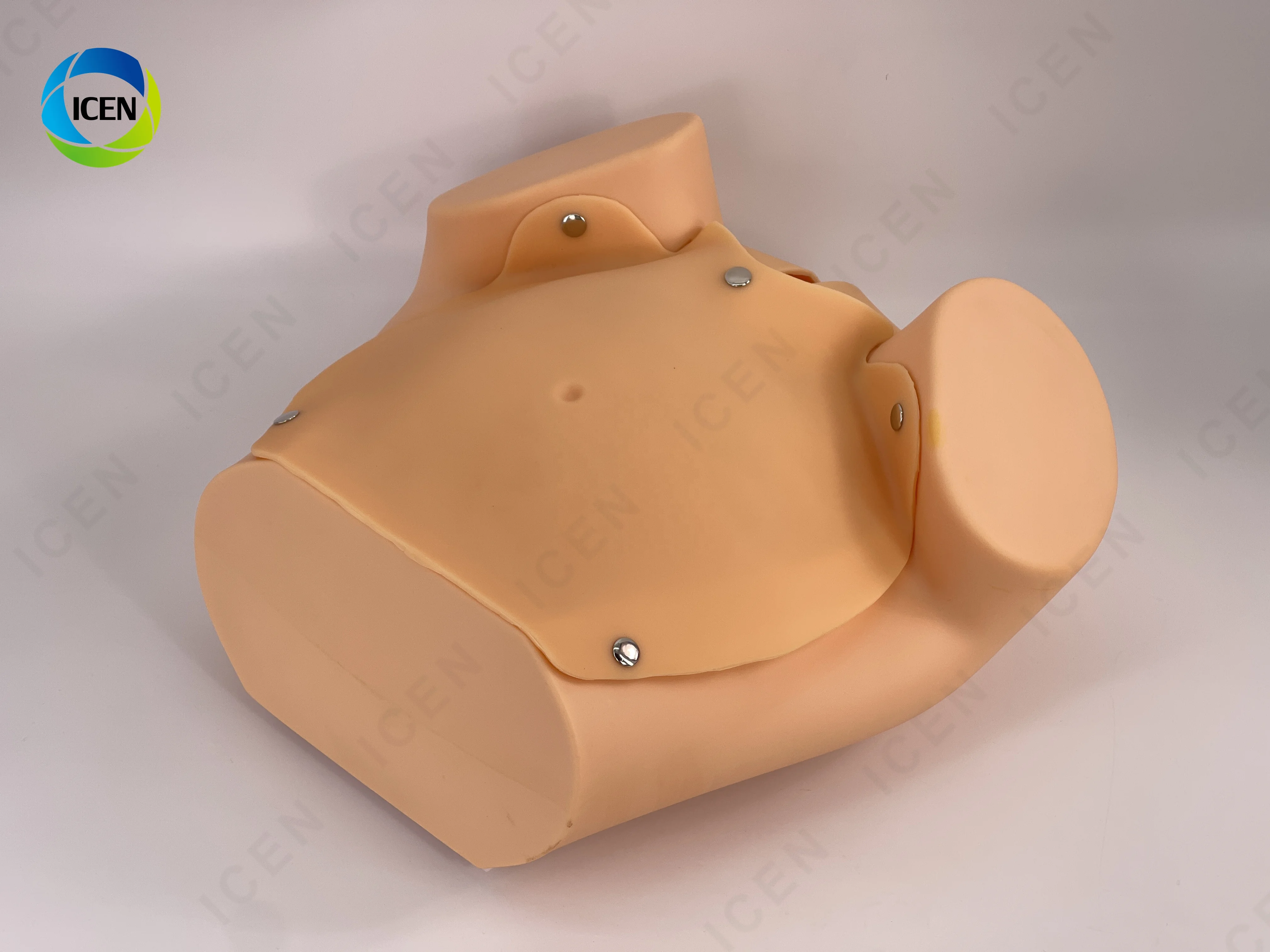 IN-M10 Delivery Model Maternal And Infant First Aid Training Model Of Emergency Nursing For Pregnant