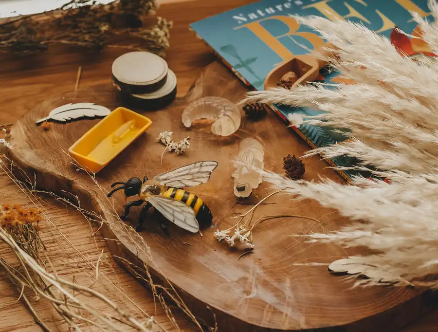 CPC CE Life Cycle Toys, Animal Figurines Toys Preschool Learning Education Montessori Toys for Kids