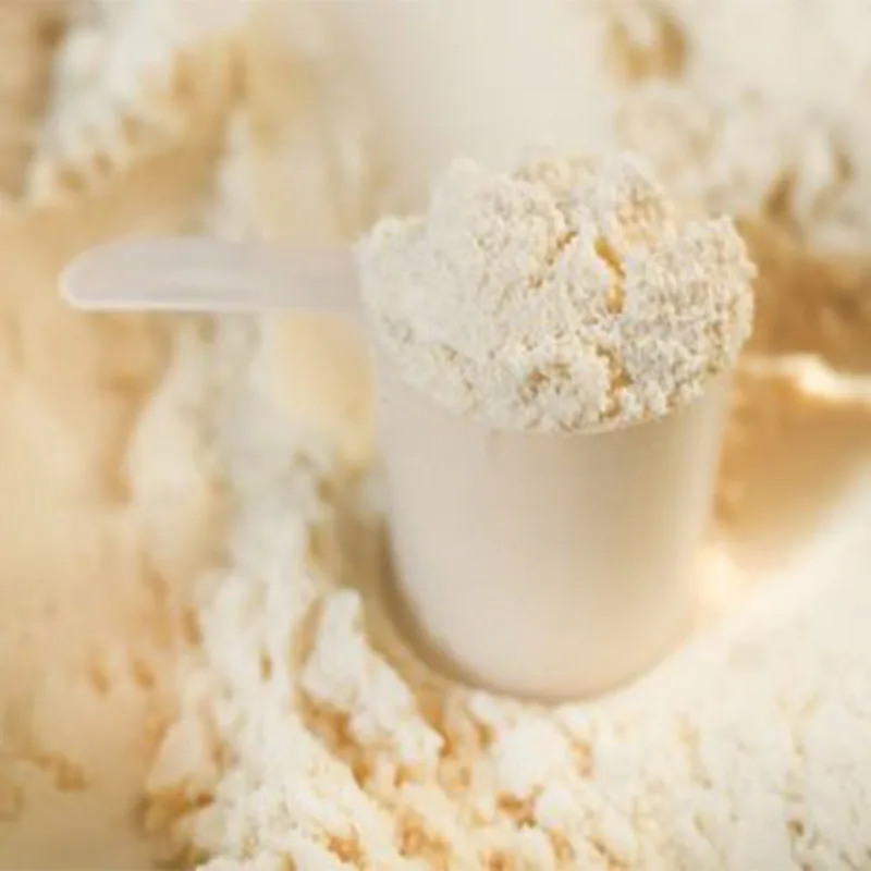 
Premium Quality Whey Powder for sale 