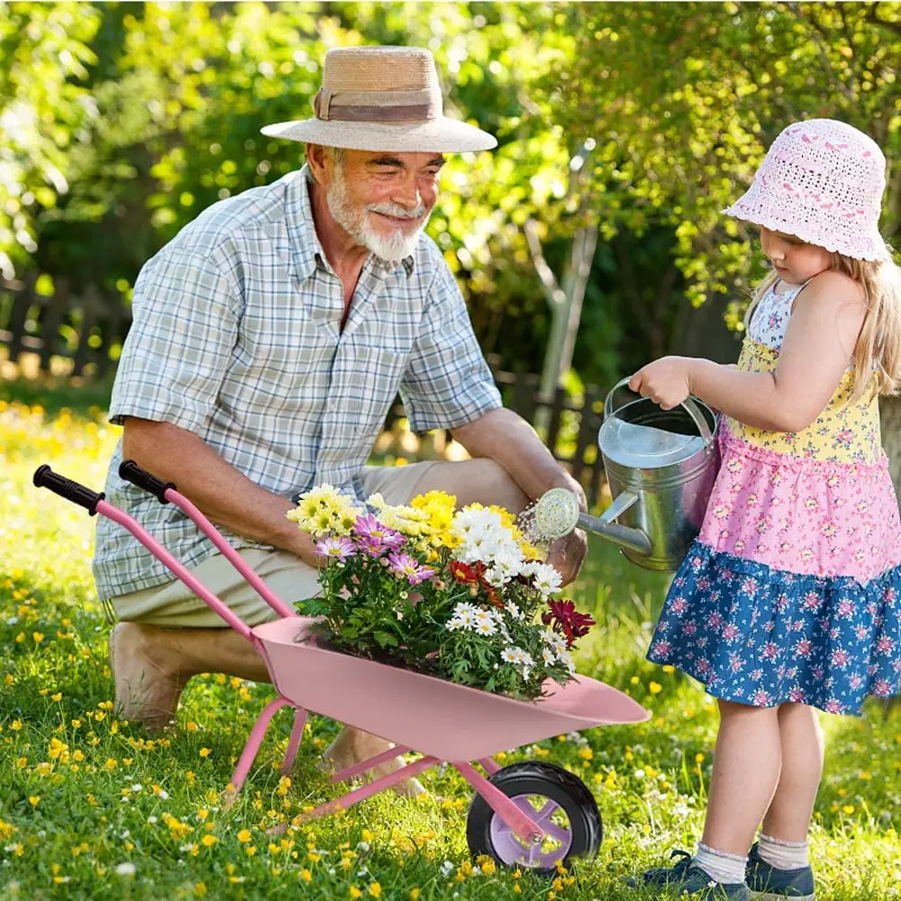 Nice Design Steel Garden Wheelbarrow on Kids Toy for garden using