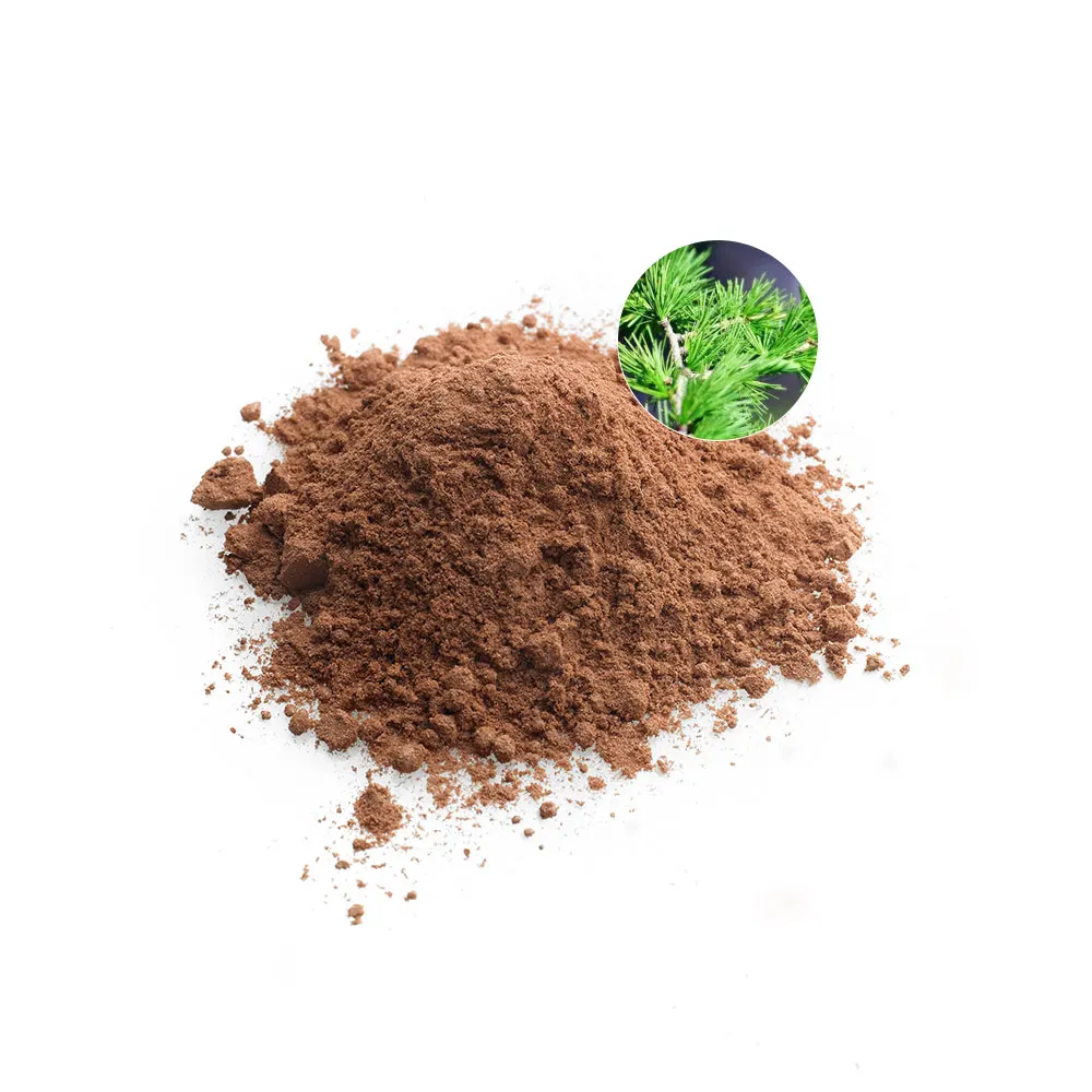 100% Natural Pine Needle Extract Powder Delay Aging Herbal Extract Pine Needle Extract