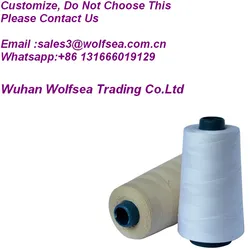 Factory Supply 120D/2 100% Rayon thread embroidery 5000m Wholesale