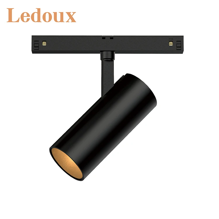 Высококачественный магнитный Алюминиевый декоративный светильник для дома, 48 В, 3 Вт, 8 Вт, 10 Вт, 15 Вт, 20 Вт, 30 Вт