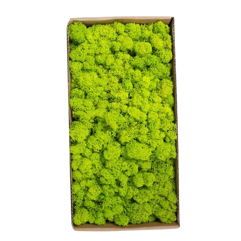 Immortal moss Pseudo moss plant wall landscaping Home decoration Diy Flower material matching box Immortal deer stamen moss
