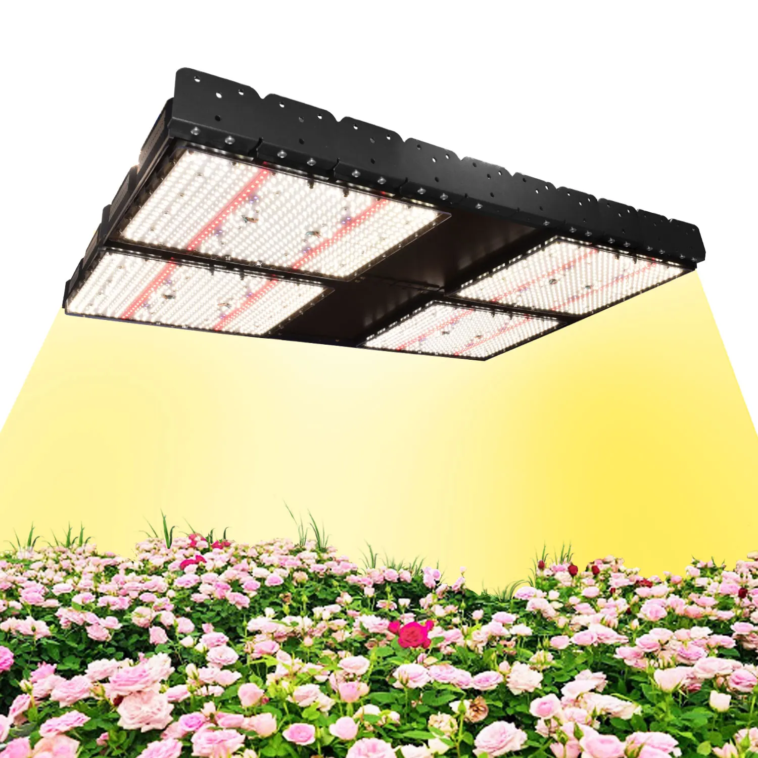 1000 Вт умные регулируемые или нерегулируемая яркость СИД Свет для выращивания полного спектра Гидропонные посадки.