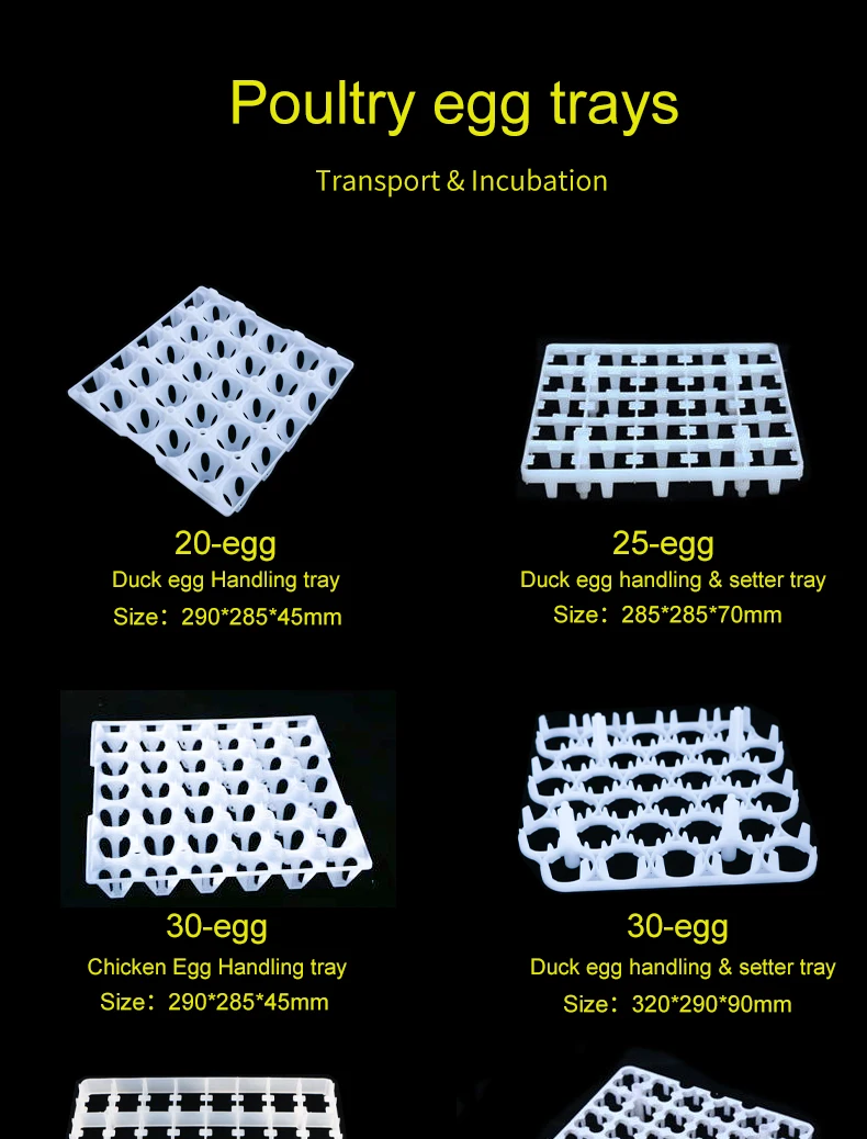 221cells plastic HDPE quail egg tray for wholesale .jpg