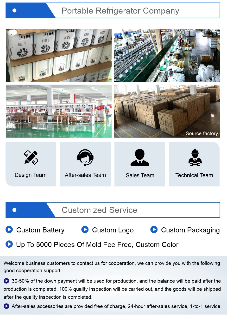 Factory Price Hot Sale wholesale 12V 6L 110V Portable Trucks Car Small Refrigerator Mini Car Refrigerator