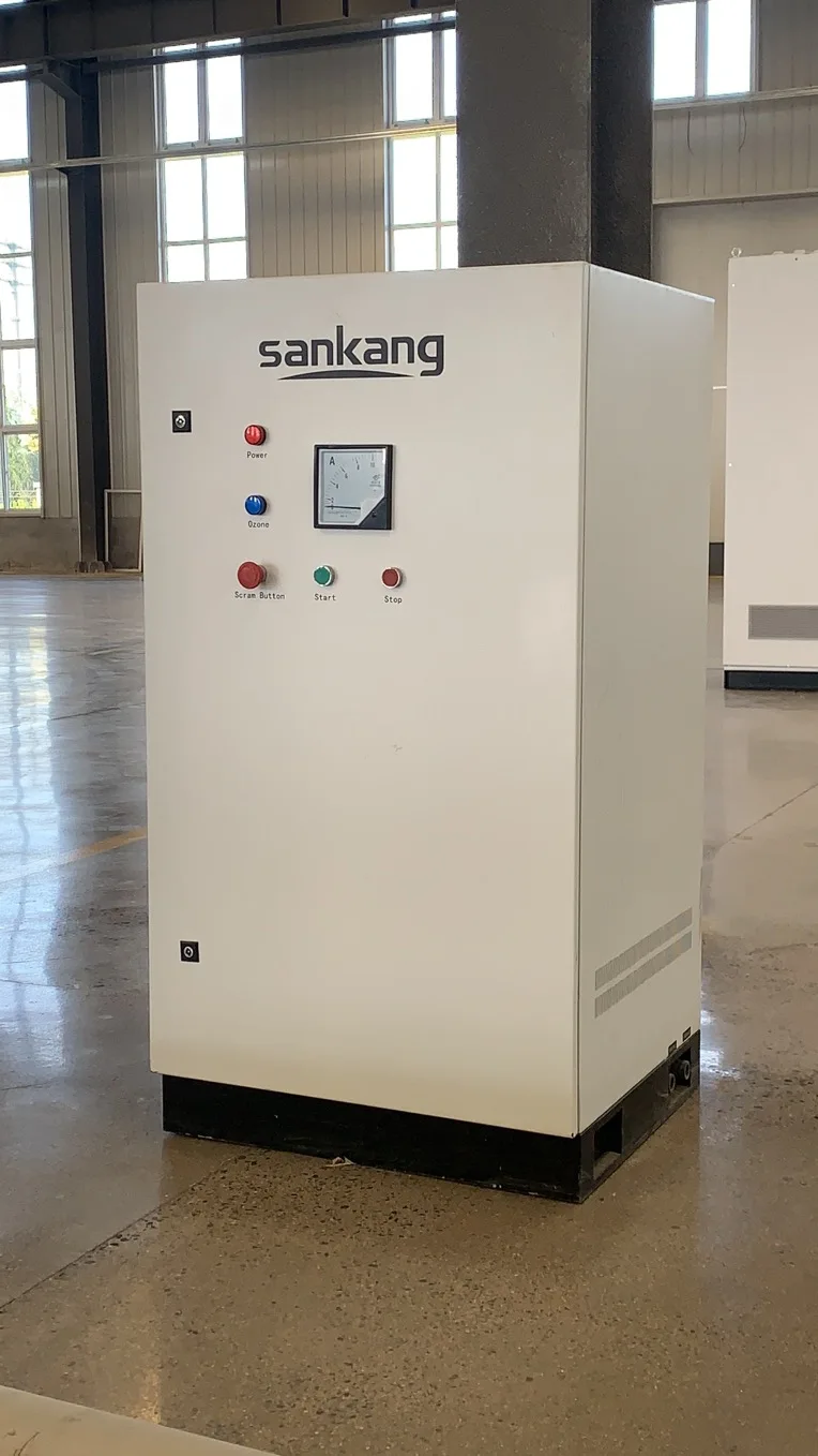 industrial water treatment swimming pool sterilizer machine ozone generator 20g factory price