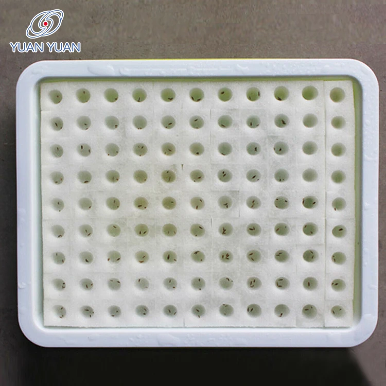 Factory Direct Selling Customized Size High Quality  Round Hole Plant Seed Cube Sponge foam seedling trays