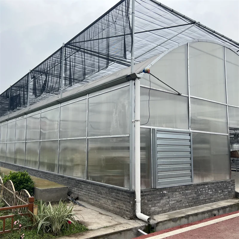 Wire Mesh Rolling Benches Galvanized Steel Structure Multi-span Greenhouse Agricultural Greenhouse Polycarbonate Kit For Plants