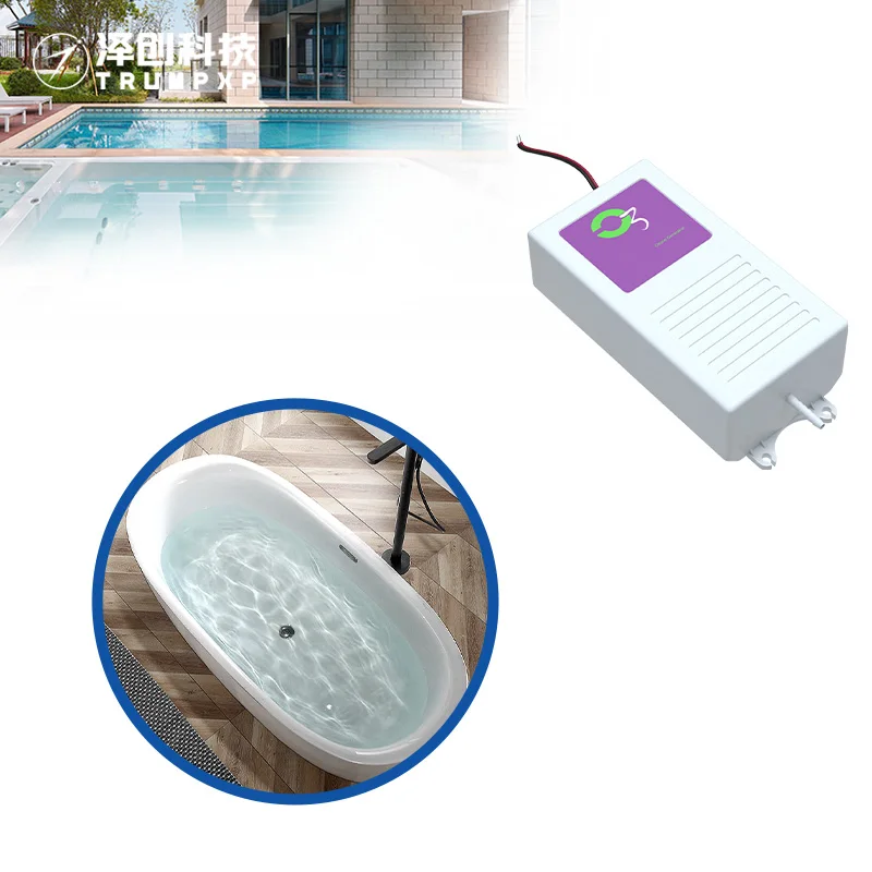 TCB-115 300mg/h Fruit Vegetable Mini Ozone Generator for Water Treatment Portable SPA Generator Ozone Electric Ce ABS 280g