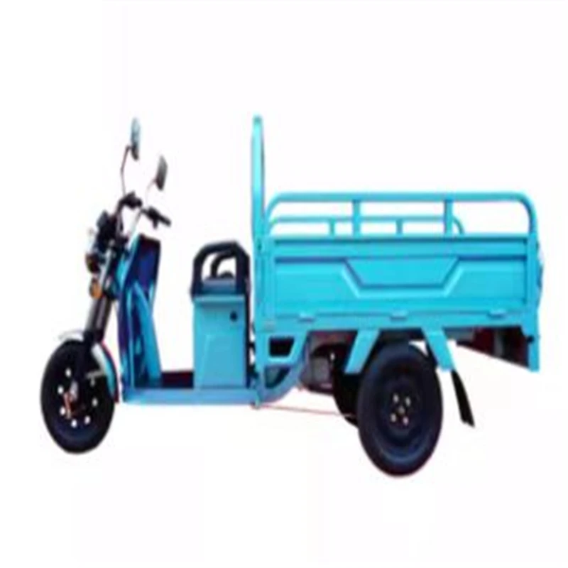 2022 China cheaper adult tricycle 60V 20Ah-50Ah electric tricycle with cargo electric motorcycle EU warehouse spot sale