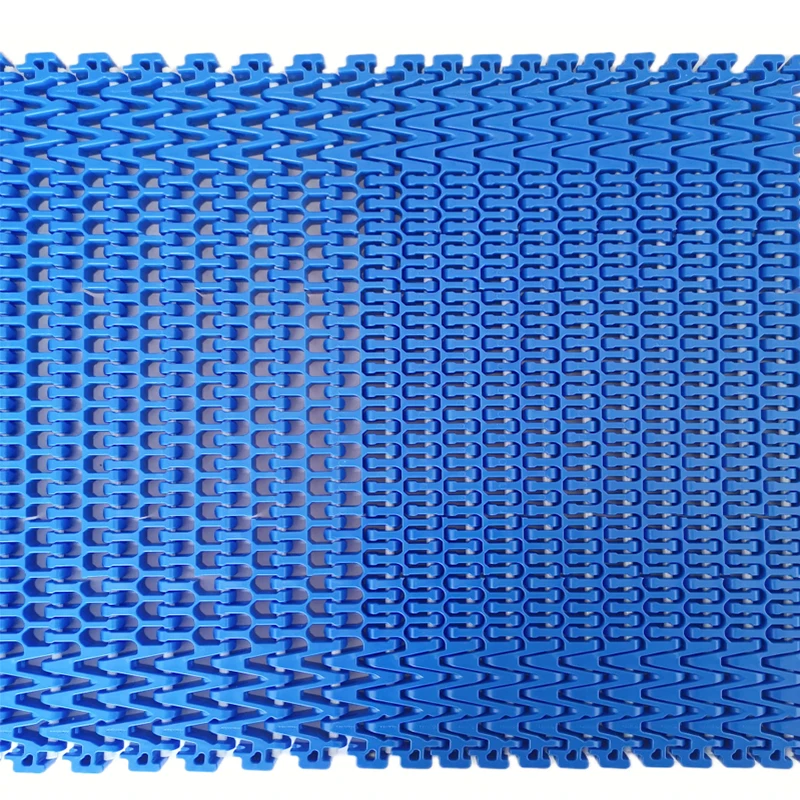 Hairise plastic injection packing line modularing conveyor components belt