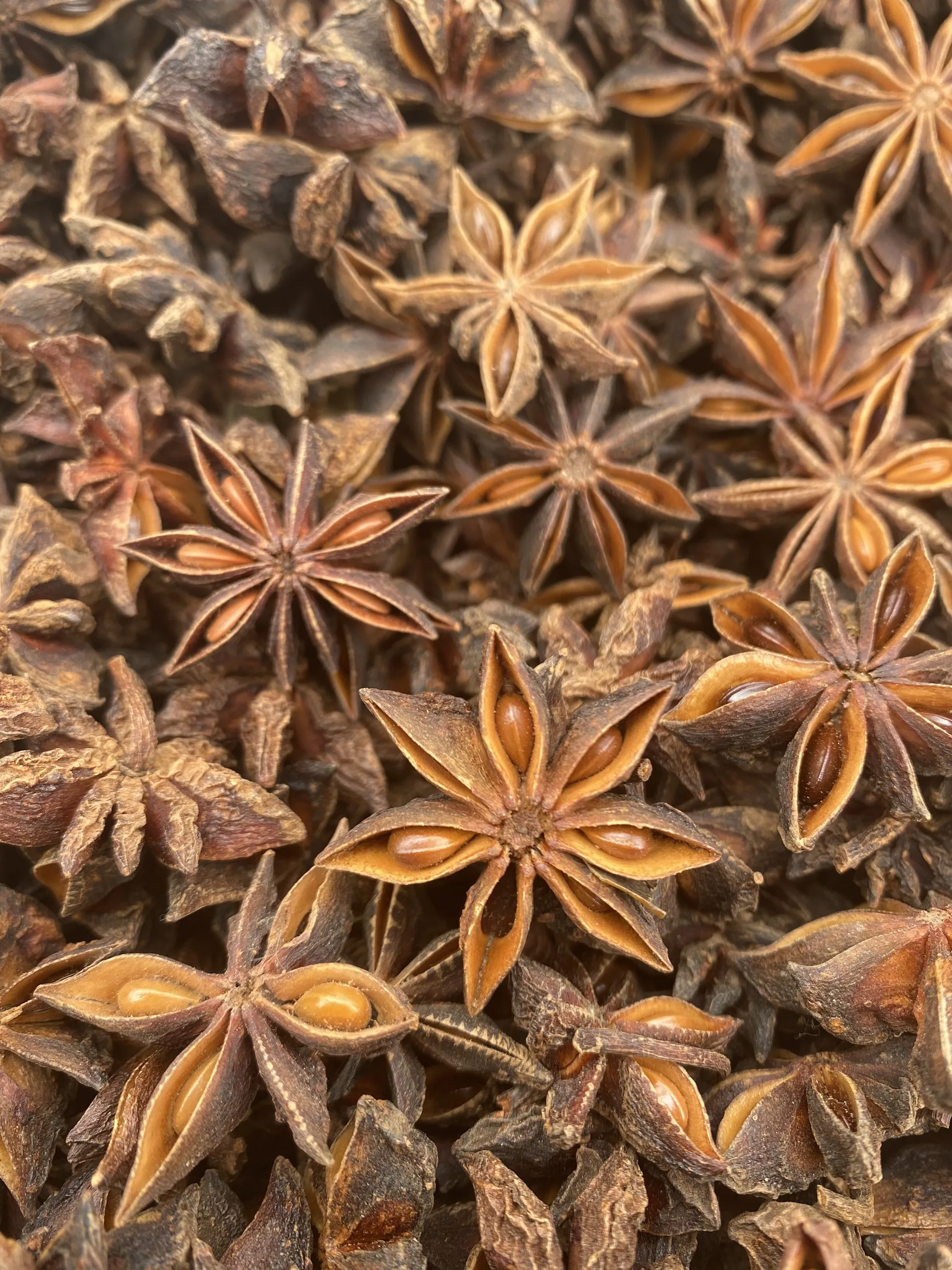 Spices - AUTUMN STAR ANISE FROM VIETNAM Good price New crop