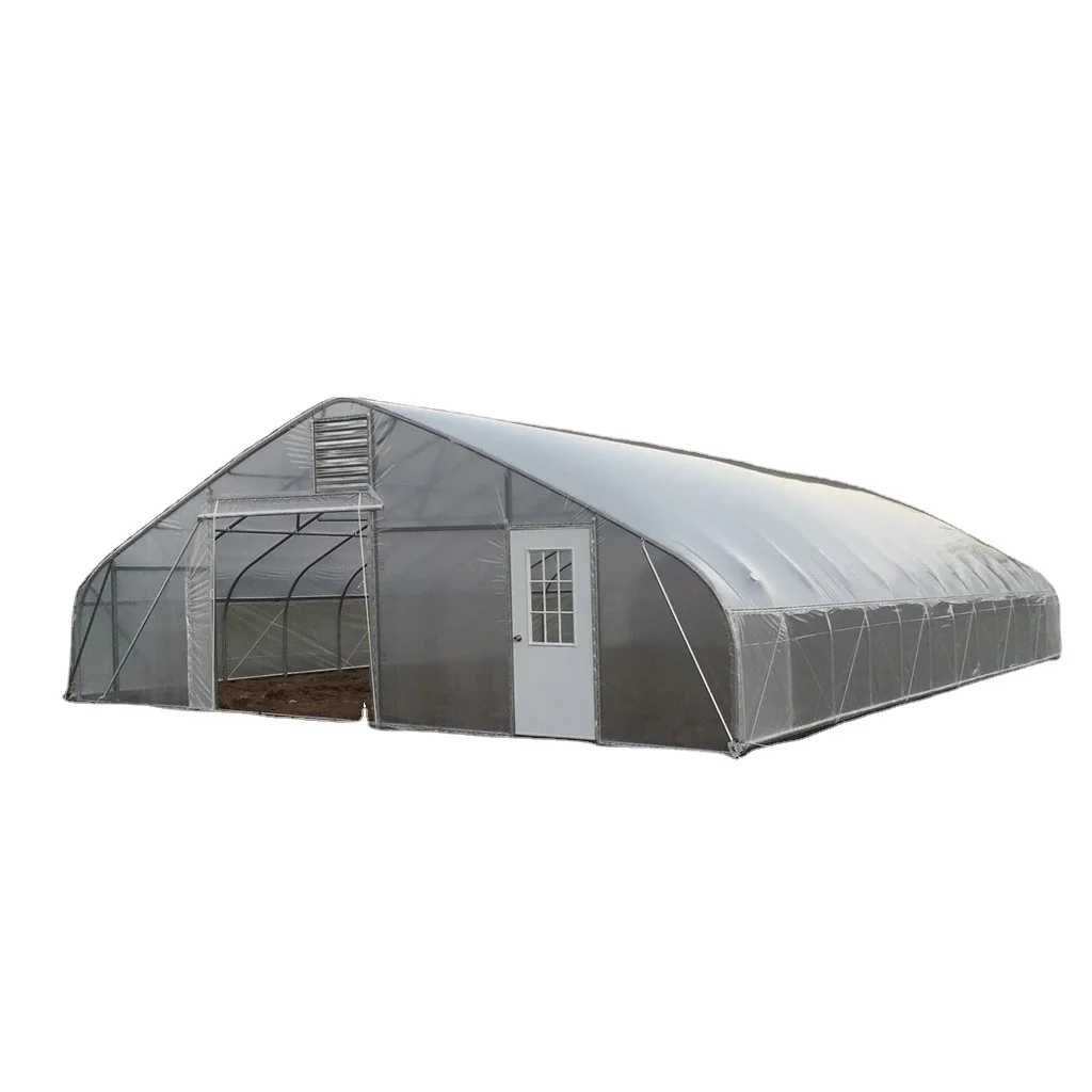 Single Span PE Film Galvanized Steel Frame Greenhouse Agriculture Plastic Greenhouse Tunnel Type