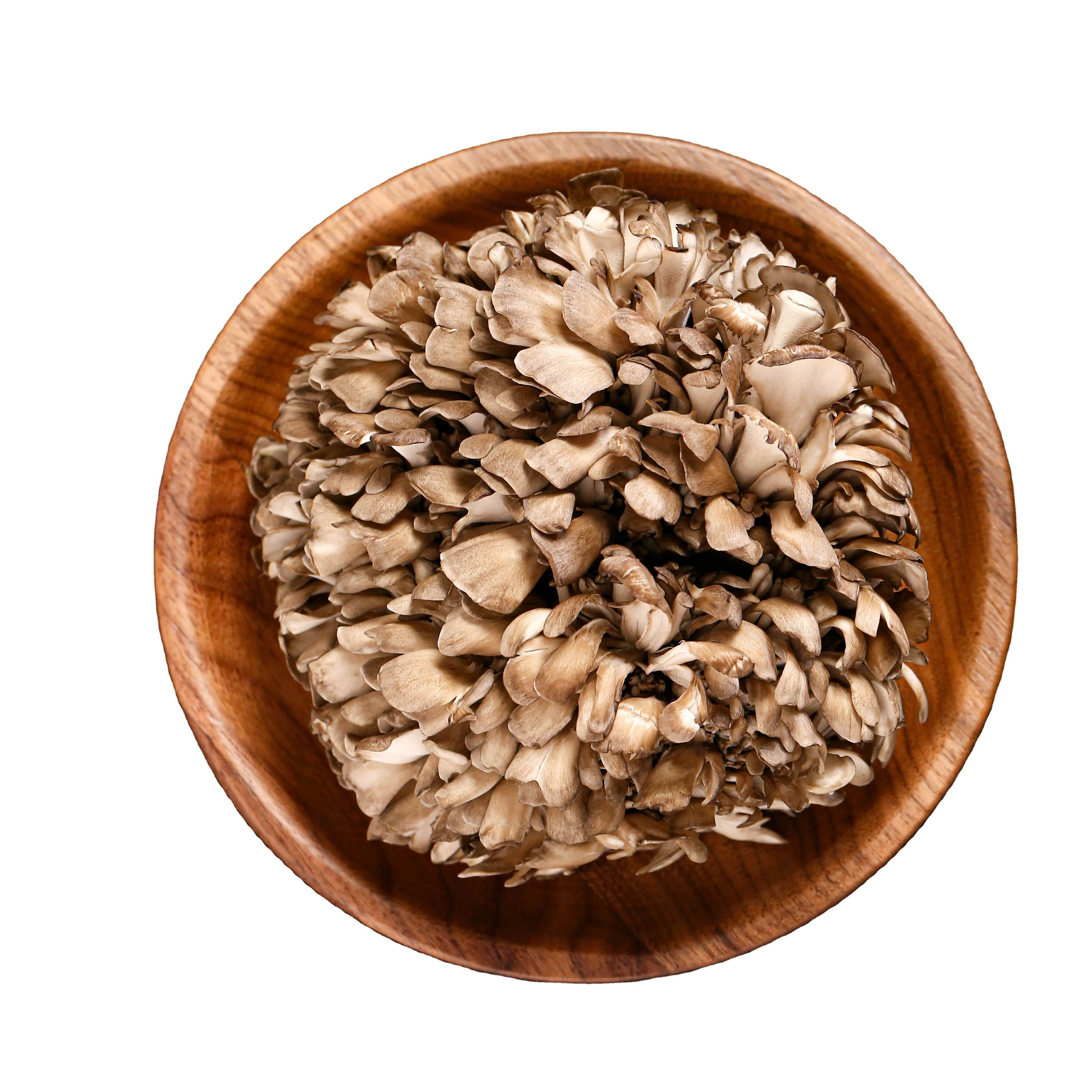 Healthy Natural Pure Food Original Maitake Fresh
