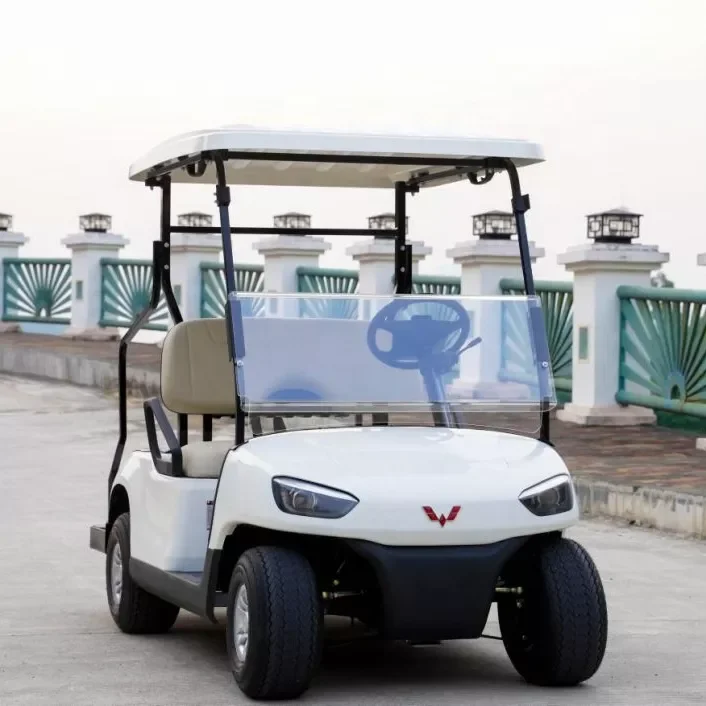 New 2 Seats Good Prices Electric Golf Cart Golf Car with CE Certification WLDT2A