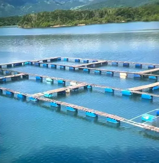 100% HDPE floating Tilapia breeding growing cage net aqualculture tilapia farming net cages from 1g to 600g in pond or lake