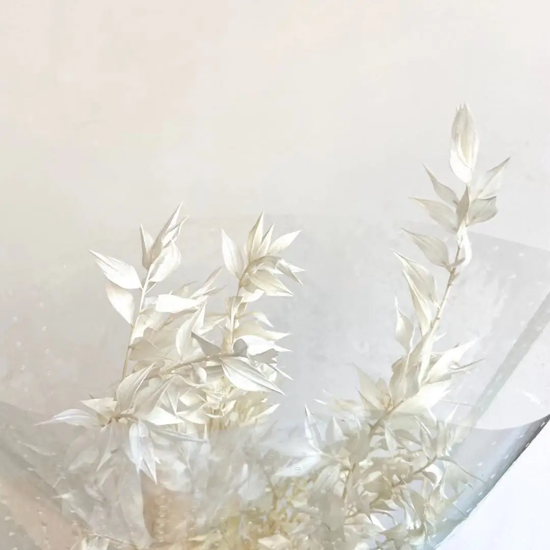 
Hot Arrangement Flower Natural Ruscus Leaves Italian Ruscus White Dried Ruscus 