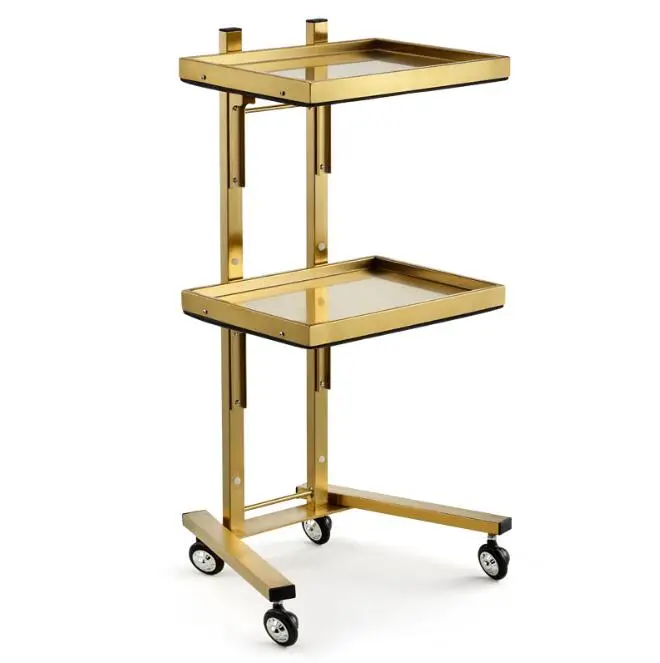 Hot sale Double Layer Beauty Stylist Trolley Rolling Cart in Salon furniture