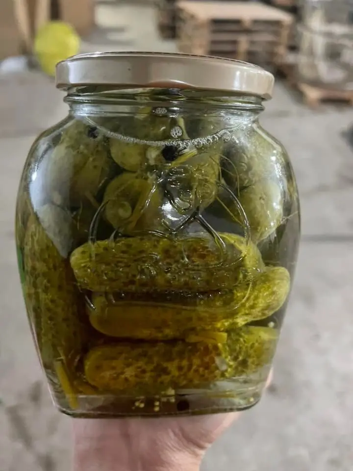 Производство качественных маринок сладко-кислый маринованный детский консервированный огурец в уксусе Whatsapp 0084 989 322 607